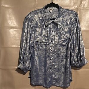 Ivy Jane Shimmering Silver Blouse